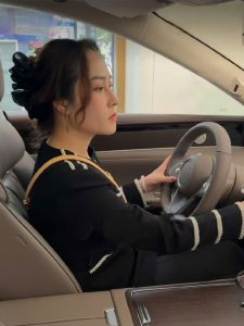 laixeanninh-gioithieu-225x300